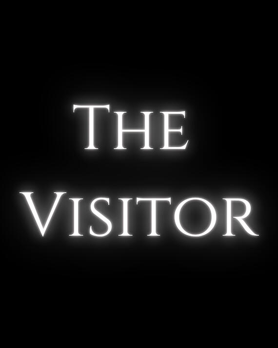 The Visitor The Visitor